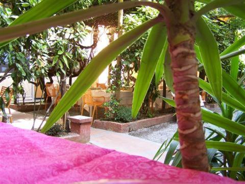 Albergo Lavagnese Lavagna Εξωτερικό φωτογραφία